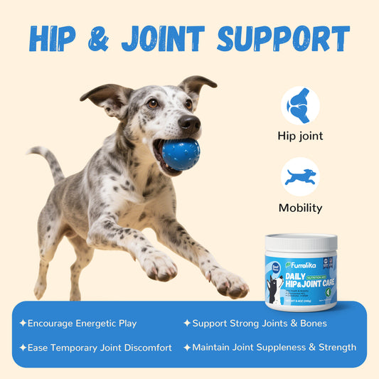 Furrolika Hip and Joint Soft Chews for Dogs