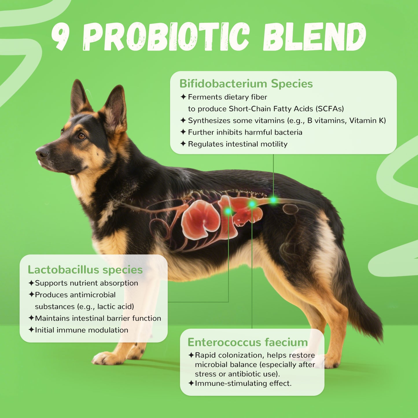 Furrolika Probiotics Soft Chews for Dogs