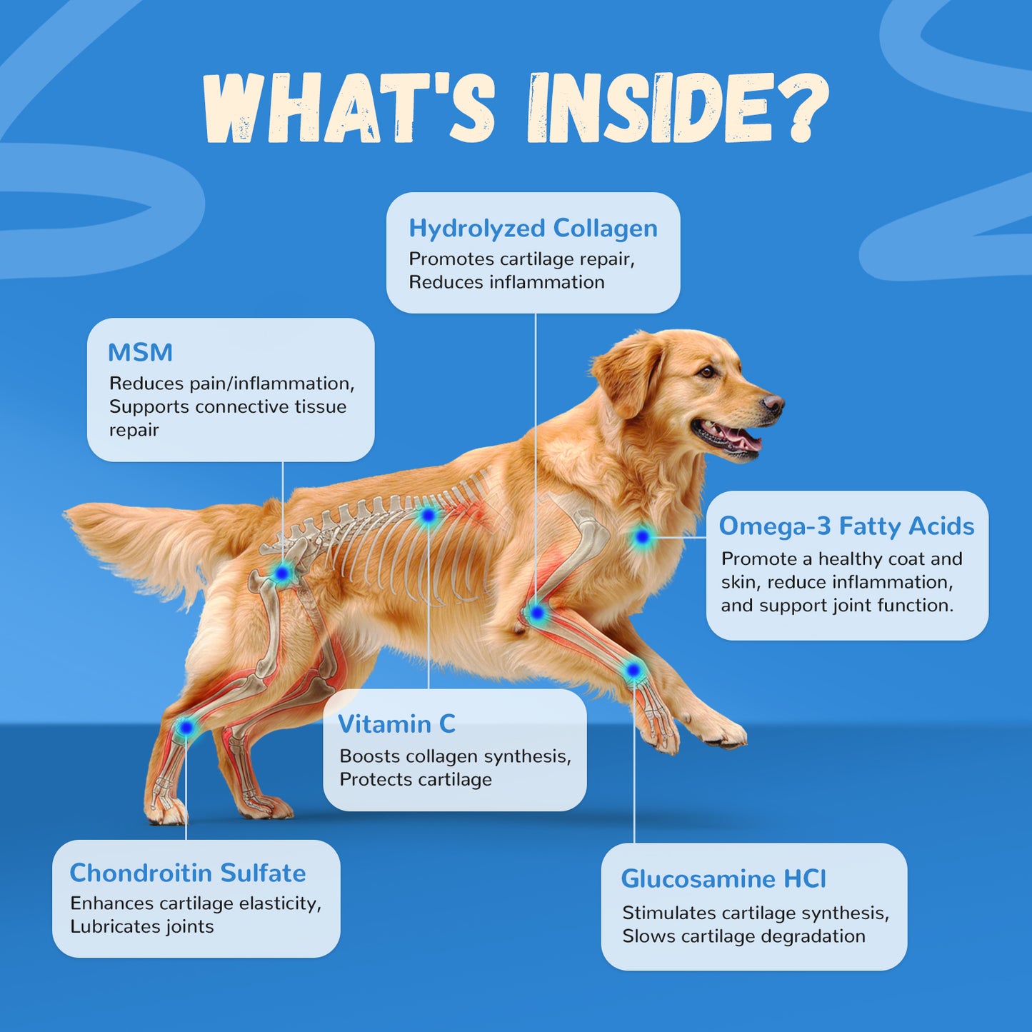 Furrolika Hip and Joint Soft Chews for Dogs